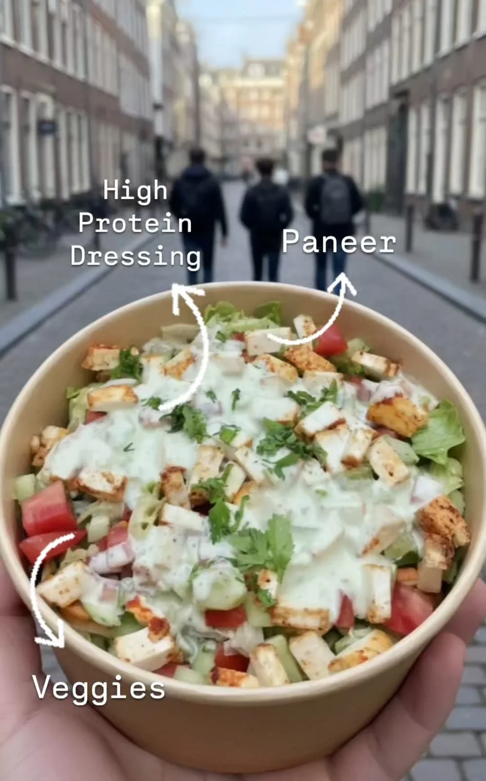 Paneer Salad
