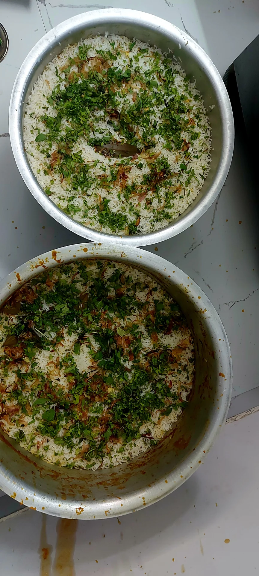 chikan biryani