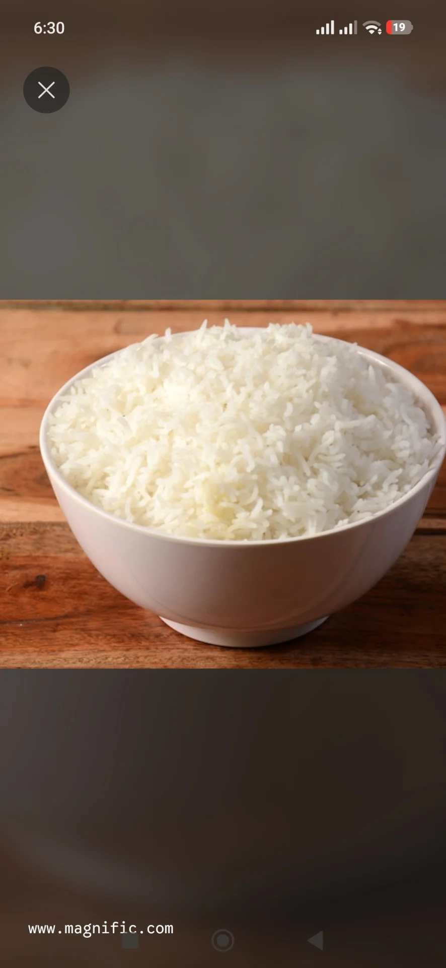 plane Rice