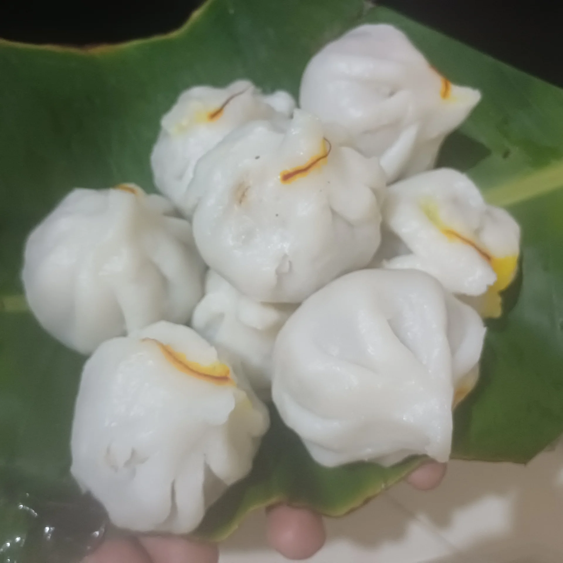 Ukadiche Modak five pieces